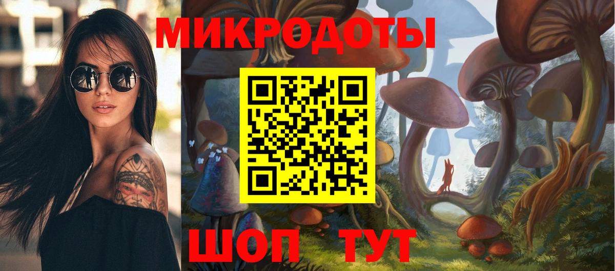 купить   Вход с VPN  Армавир  Галлюциногенные грибы Psilocybine cubensis  Псилоцибиновые грибы Psilocybine cubensis 